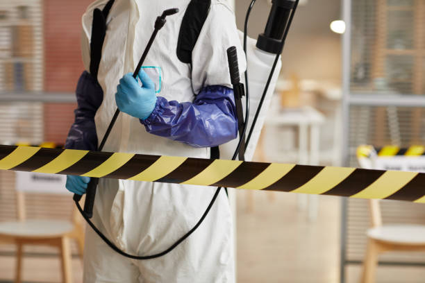Professional Sewage Cleanup technician working in Damascus, MD